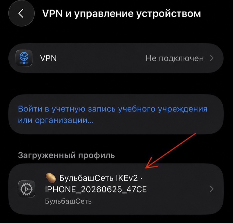 Загруженный профиль в настройках iPhone